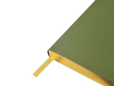 Ежедневник недатированный А5 «Verde»