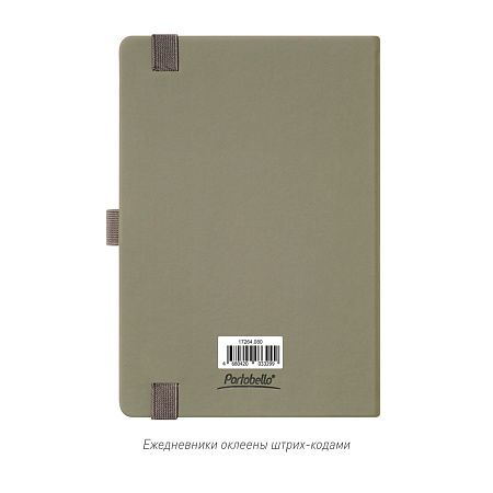 Ежедневник Alpha недатированный, серый/бирюзовый