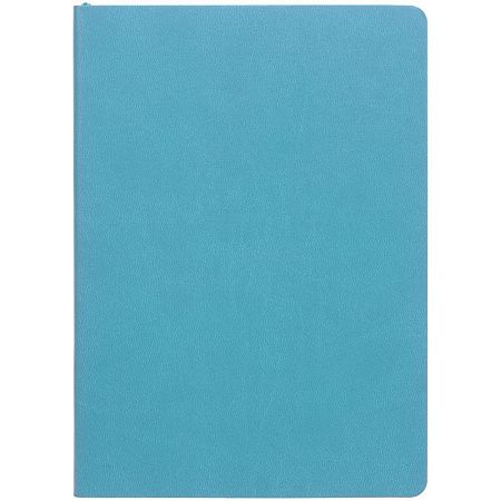 Ежедневник Fredo, недатированный, голубой