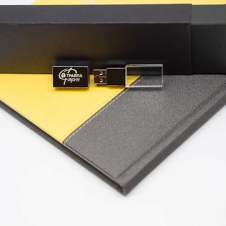 Флеш накопитель USB 2.0 Кристалл Матовый, металл/стекло, прозрачный/серебристый, подсветка синим