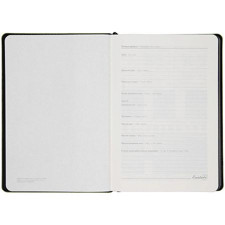 Ежедневник Alanis, недатированный, черный с зеленым