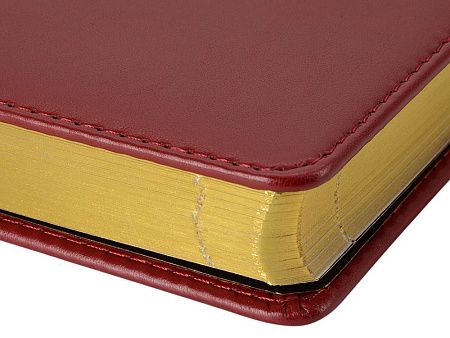 Ежедневник недатированный А5 «Parliament»