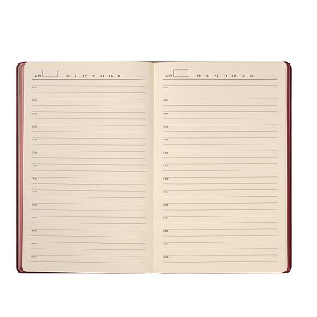 Ежедневник Рейн (Rain) недатированный, бургунди (без упаковки, без стикера)