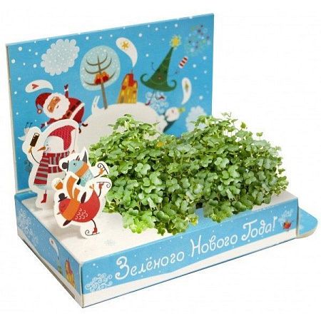 Набор для выращивания зелени "Новый зеленый год"