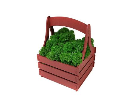 Композиция «Корзинка со мхом»