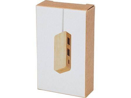 USB-концентратор «Tapas»