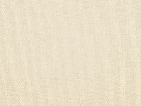 Сумка для шопинга «Steady» хлопковая с парусиновыми ручками, 260 г/м2