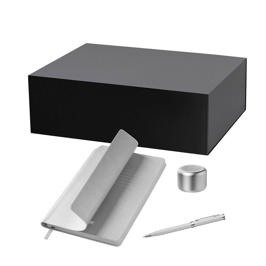 Подарочный набор Passion, Molto, серебряный (колонка, ежедневник, ручка)