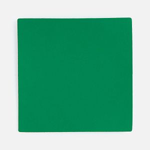 Лейбл Listra Soft Touch, L, зеленый