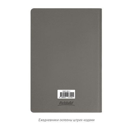 Ежедневник Star недатированный, серый (без упаковки, без стикера)