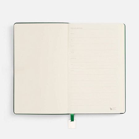 Ежедневник Shall Light, недатированный, зеленый