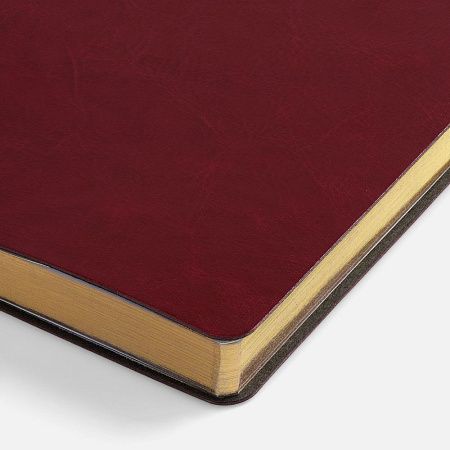 Ежедневник Nebraska Flex, недатированный, бордовый с золотистым
