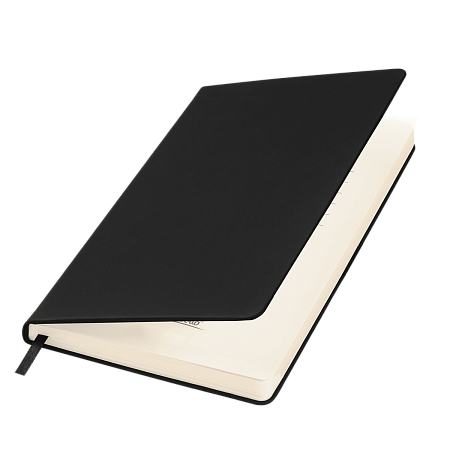 Ежедневник Альфа Битубук (Alpha BtoBook) недатированный, черный (без резинки, без упаковки, без стикера)