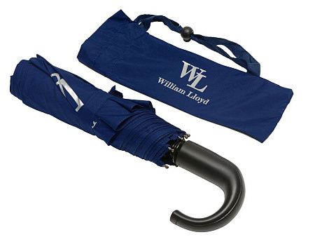 Зонт складной, цвет: синий