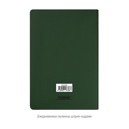Ежедневник Rain недатированный, зеленый