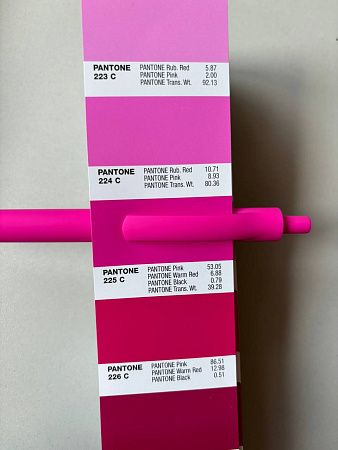 Ручка шариковая IGLA SOFT, пластиковая, софт-тач, розовая