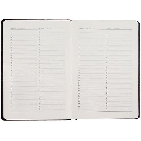 Ежедневник Alanis, недатированный, черный с красным