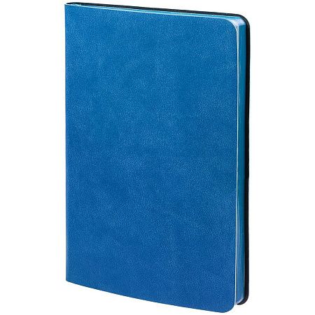 Ежедневник Neat Mini, недатированный, синий