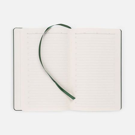 Ежедневник Magnet Shall, недатированный, зеленый