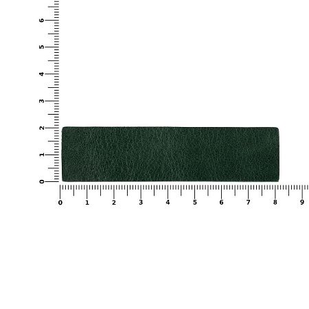 Лейбл кожаный Pasek, S, зеленый