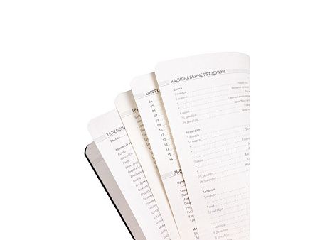 Ежедневник недатированный А5 «Megapolis Velvet Flex»