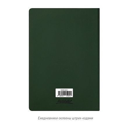 Ежедневник Spark недатированный, зеленый (без упаковки, без стикера)