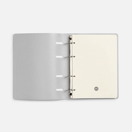 Ежедневник Ringo, недатированный, серебристый