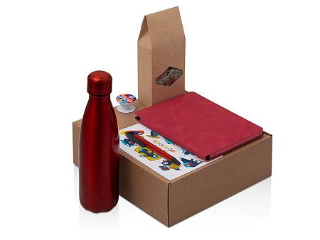 Набор «Teanote» с термобутылкой, блокнотом, ручкой и чаем