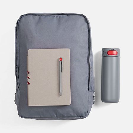 Набор Flexpen Travel, серый с красным