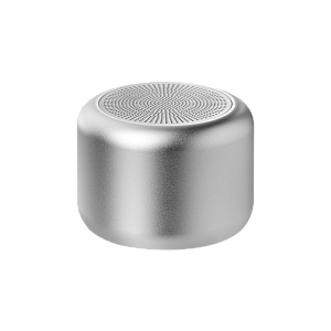 Беспроводная колонка Пэшн (Passion) 80dB 600 mAh (Bluetooth 5.4), серебряная