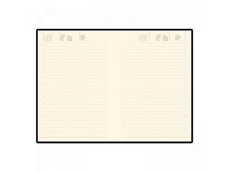 Ежедневник недатированный B5 «Tintoretto New»