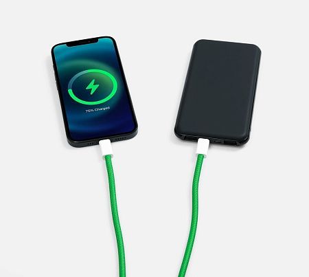 Кабель-ланьярд energyFlex Pro, зеленый