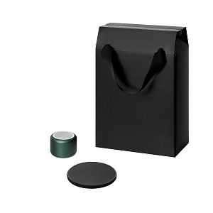 Подарочный набор Passion, Auris, зеленый (колонка, зарядное устройство)