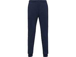 Брюки спортивные «Rodas», мужские