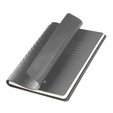 Ежедневник Виста Нео (Vista Neo) недатированный, серый