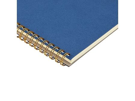 Бизнес тетрадь А5 «Pragmatic»