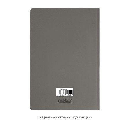Ежедневник Star недатированный, серый (без упаковки, без стикера)