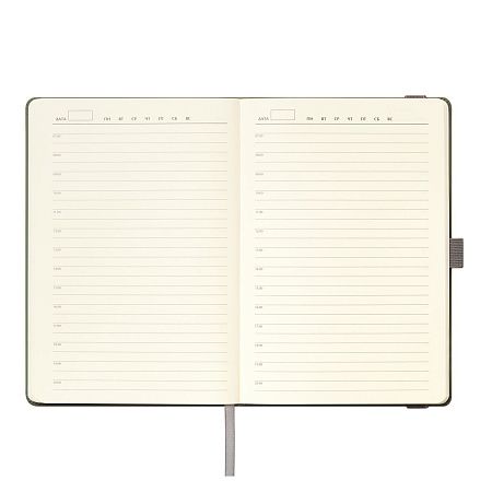 Ежедневник Alpha недатированный, серый/бирюзовый