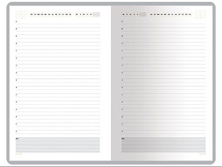 Ежедневник недатированный А5 «Mercury»