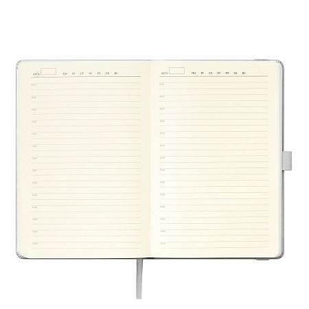 Ежедневник Alpha недатированный, серебро/серый