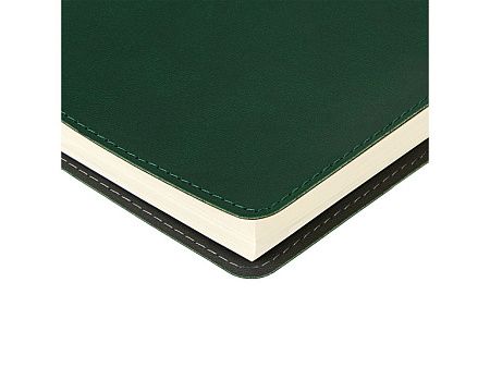 Ежедневник А5 «Tintoretto»