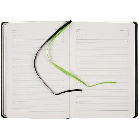 Ежедневник Alanis, недатированный, черный с зеленым