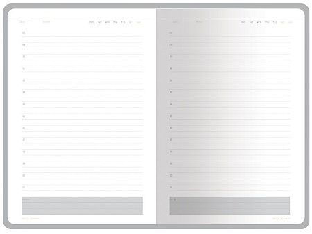 Ежедневник недатированный А5 «Mercury»