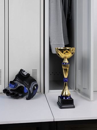 Кубок Awardee, средний, синий