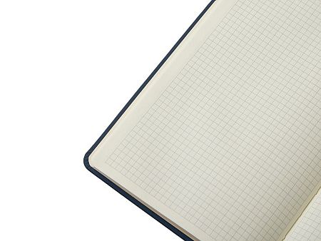 Блокнот в твердой обложке A5 «Виспи» в клетку