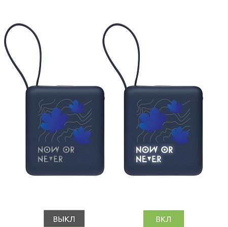 Внешний аккумулятор с подсветкой Риттер PD (Ritter PD) 10000mAh с функцией беспроводной зарядки 15W, синий