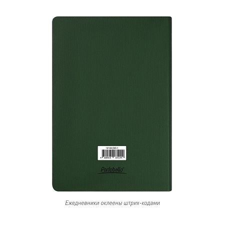 Ежедневник Рейн (Rain) недатированный, зеленый (без упаковки, без стикера)