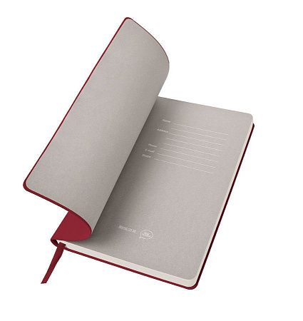 Бизнес-блокнот BIGGY, формат B5,  в клетку