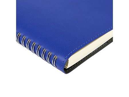 Ежедневник А5 «Tintoretto»