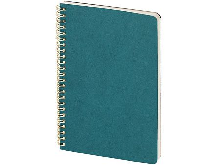 Бизнес тетрадь А5 «Pragmatic»